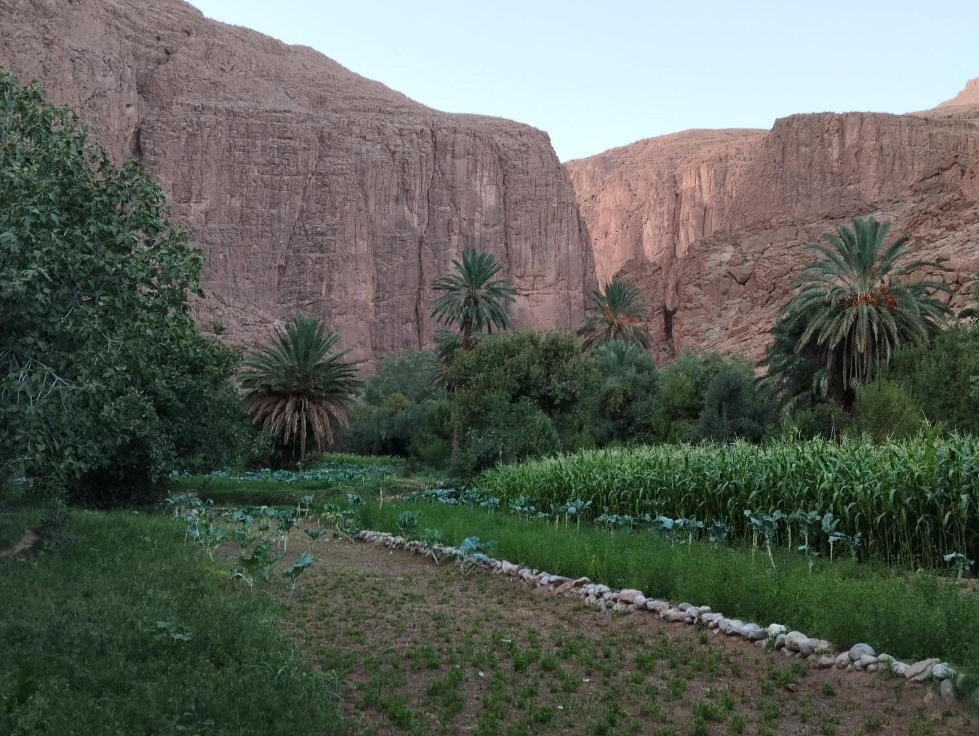 Riad La Fleur Aït Baha Esterno foto
